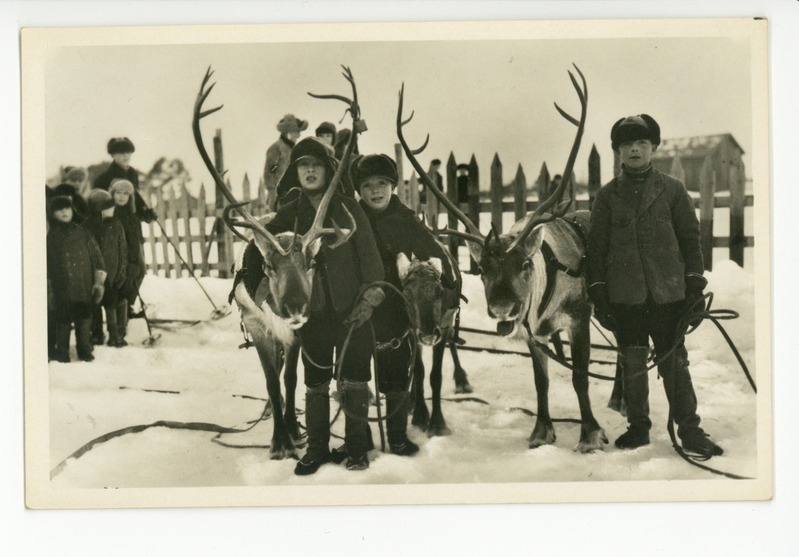 Sotkamo