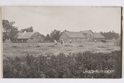 Eesti küla, Kolga - Jaani  duplicate photo