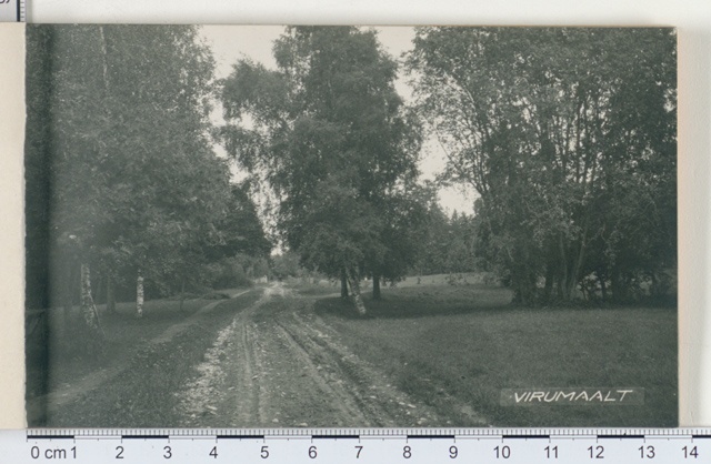 Estonian landscape, Virumaa