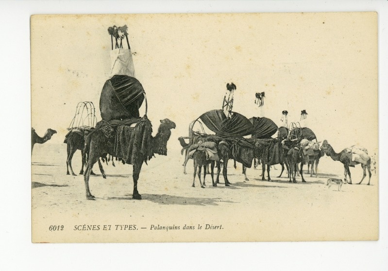 Scenes et Types