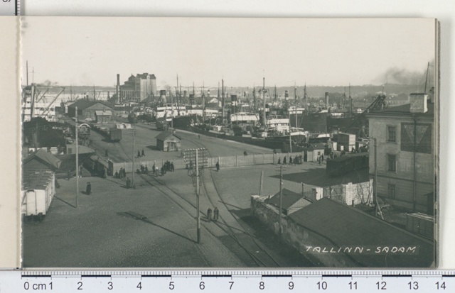 Tallinn (Reval), port