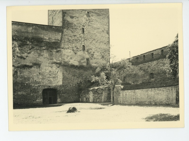 Narva