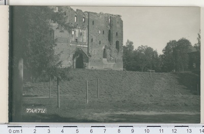 Ruins of Tartu Toomkirik  duplicate photo