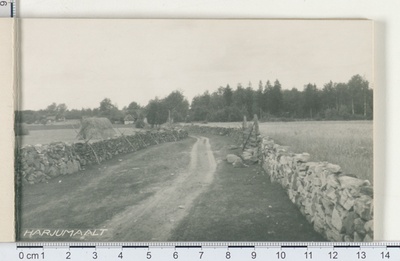 Estonian village, Harjumaa  duplicate photo