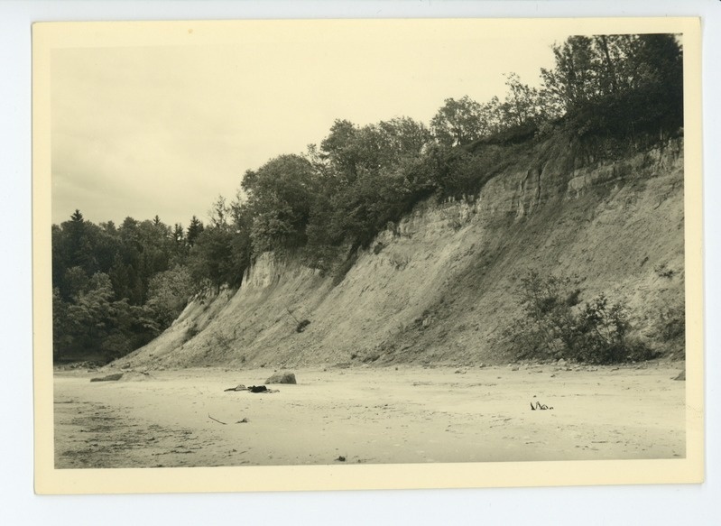 Utria