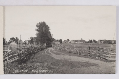 Estonian village, village street from Tartumaa  duplicate photo