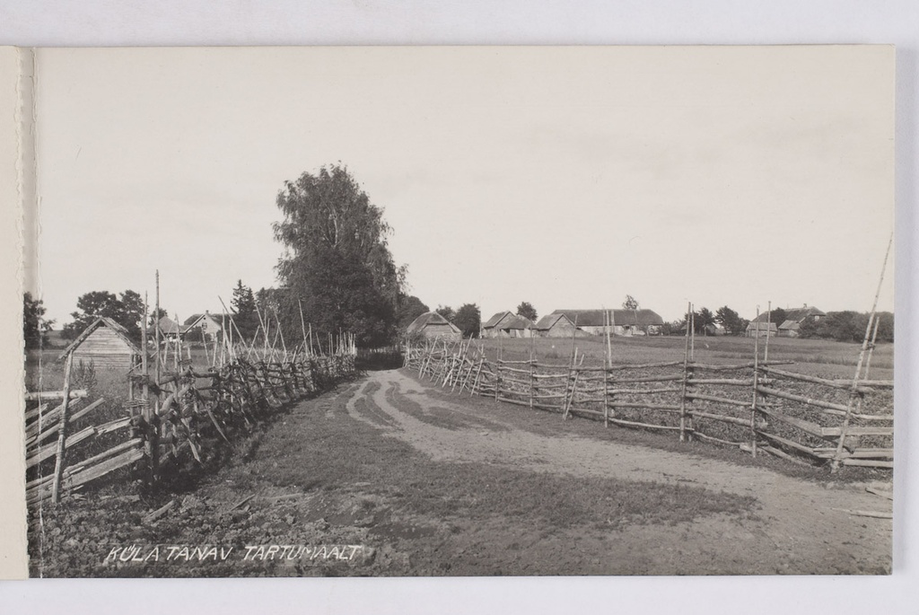 Estonian village, village street from Tartumaa
