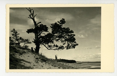 Peipsi  duplicate photo