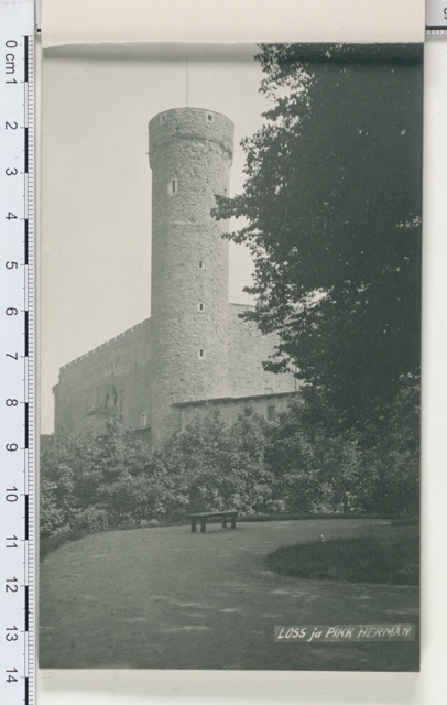 Old Tallinn, Castle and Pikk Hermann
