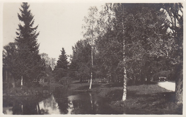 Narva-jõesuu. Park