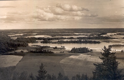 Photo postcard. Haanja. View of the Big Munamägi view tower east-eastward.  duplicate photo