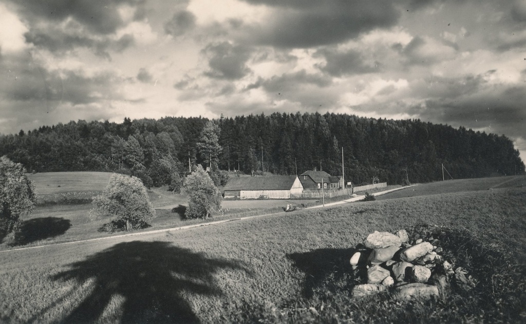 Photo postcard. View of the Great Egg Mountain.