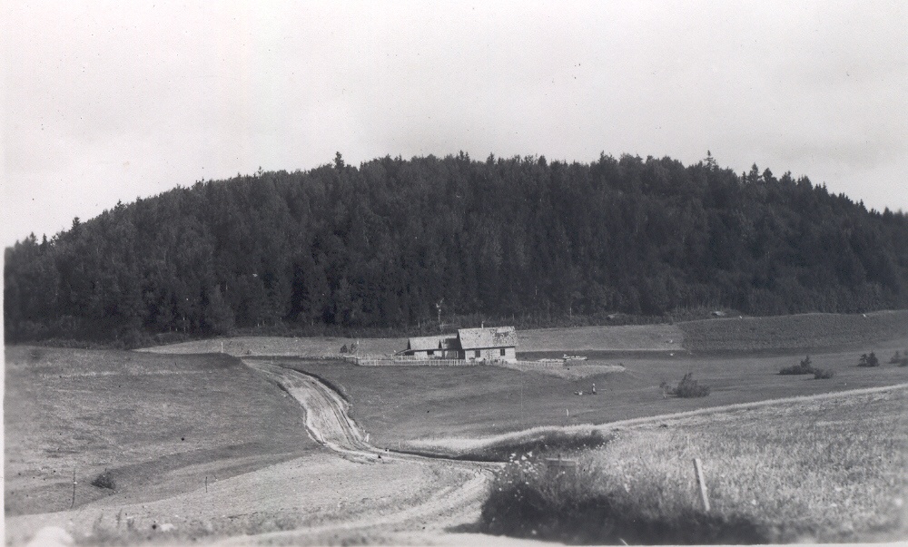 Photo postcard. Haanja. View of the Great Munamäe on the south.