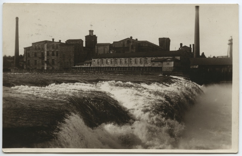 Big cock on the Narva River.