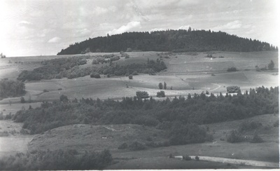 Photo postcard. Haanja. View of the Great Egg Mountain.  duplicate photo