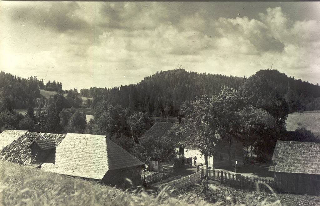 Photo postcard. Haanja. The island farm near the north coast of Väikjärvi.