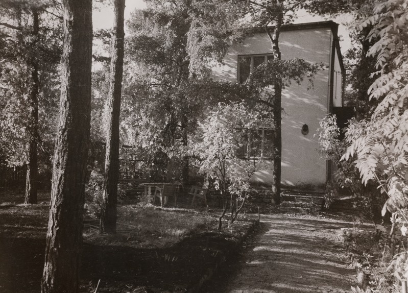 Vaade elamule suvises roheluses