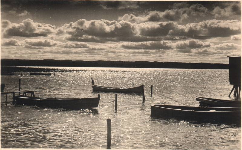 Photo. Lake Tamula.
