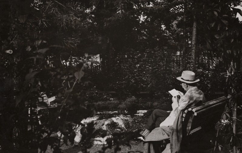 Friedebert Tuglas aiapingil lugemas