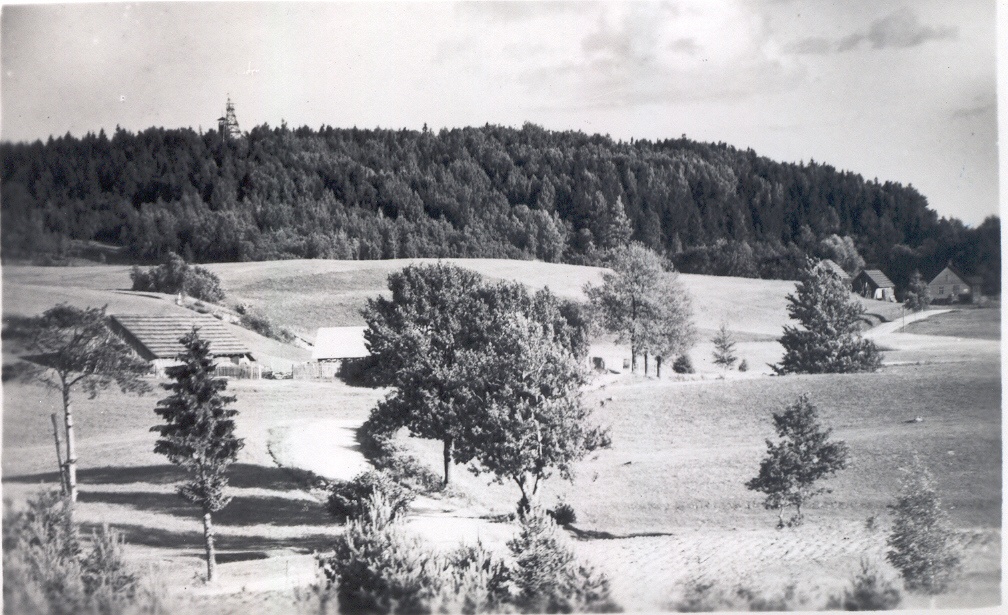 Photo postcard. Haanja. View of the Great MUnamäe by the northeast.