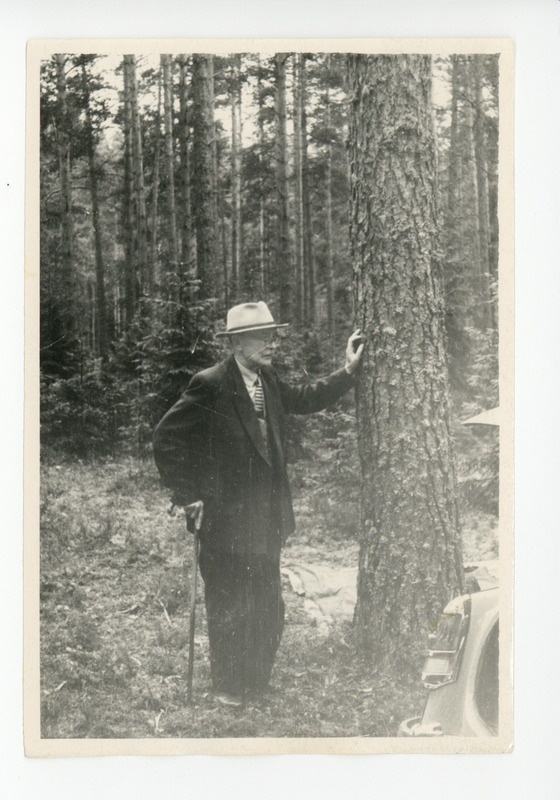Friedebert Tuglas metsapuu juures mõtisklemas, 1961