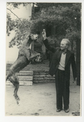 Friedebert Tuglase ees aias tagajalgadele tõusnud koer Darling  duplicate photo