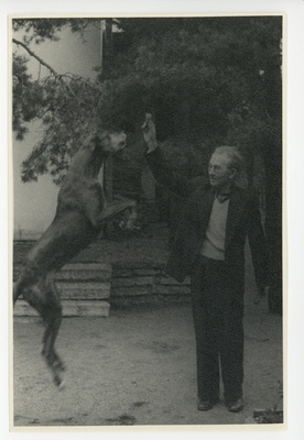 Friedebert Tuglase ees aias tagajalgadele tõusnud koer Darling  duplicate photo