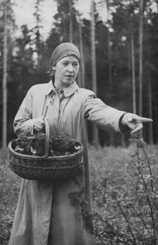 Ooniste otsimisel Erastvere metsas 28. mail 1939
