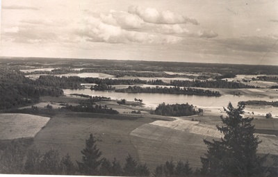 Photo postcard. View from the Great Munamäe view tower east- southeast.  duplicate photo