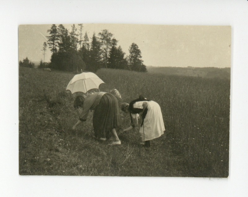 Kasaritsa, 1921 - 1922