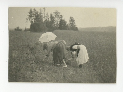 Kasaritsa, 1921 - 1922  duplicate photo