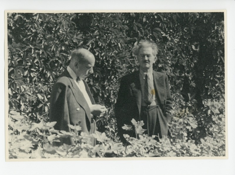 Johannes Semper ja Friedebert Tuglas aias