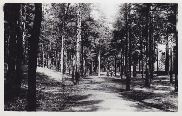 Narva-jõesuu. Park