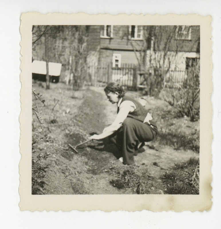 Elo Tuglas tööl Tallinna tänav 16 aias, umbes 1936