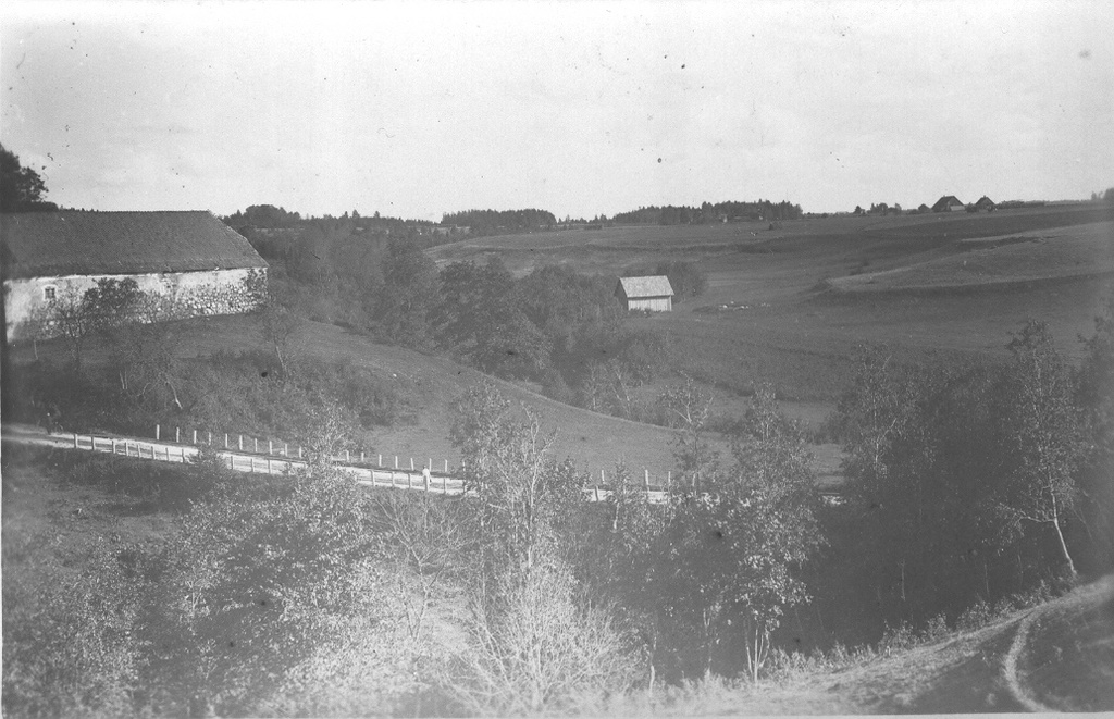 Photo postcard. Vasseliina. View of the Mexican valley.