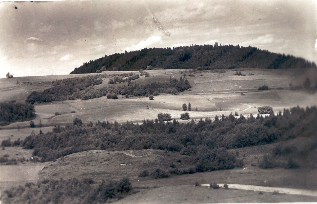 Photo postcard. Haanja. View of the Big Egg Mount Kerekunnu.