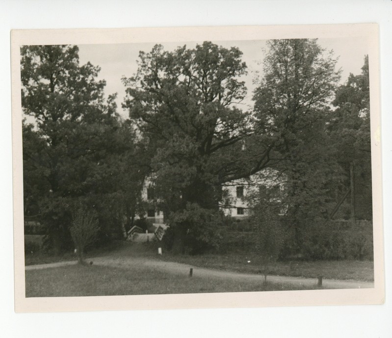 Ahja park sillaga, 1960