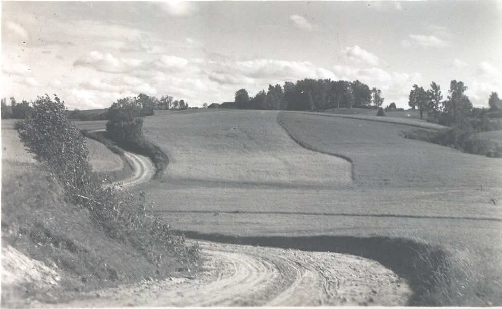 Photo postcard. Casaritsa.  View of the surroundings of the former Jan primary school by the north-west.