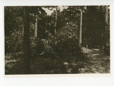 Vaade aiale, 1964  duplicate photo