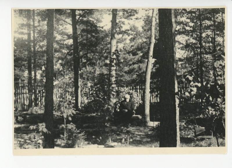 Friedebert Tuglas pingil istumas