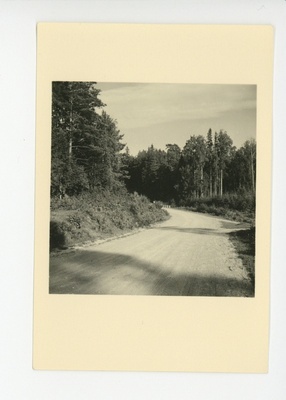 Vaade maastikule maantee ja metsaga  duplicate photo