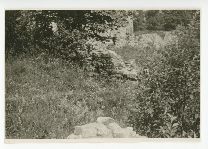 Vaade aia lillerikkusele