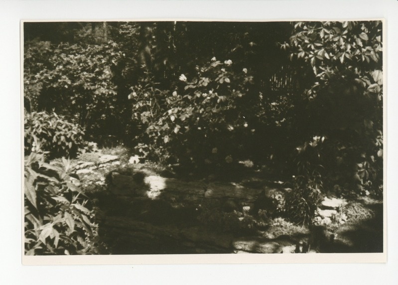 Vaade aia lillerikkusele