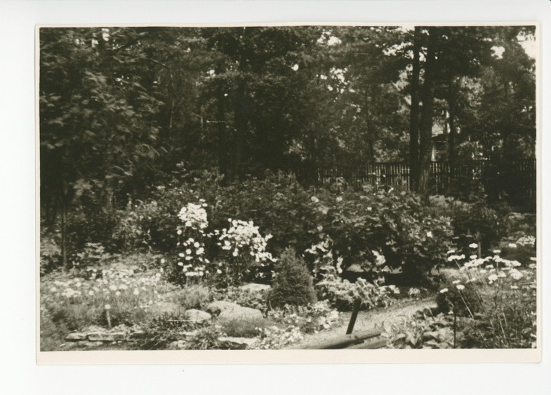 Vaade aia lillerikkusele