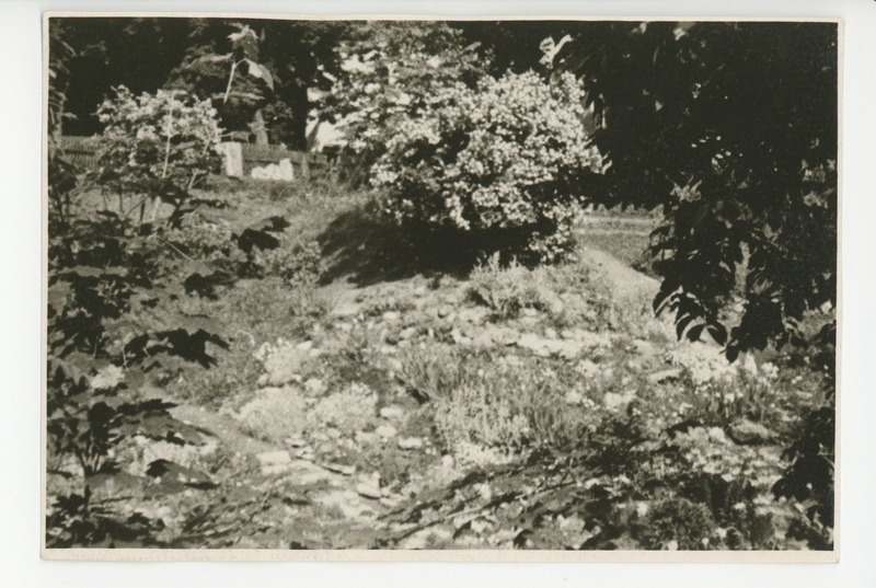 Vaade aia lillerikkusele