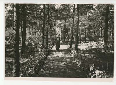 Friedebert Tuglas aias jalutamas, 1959  duplicate photo