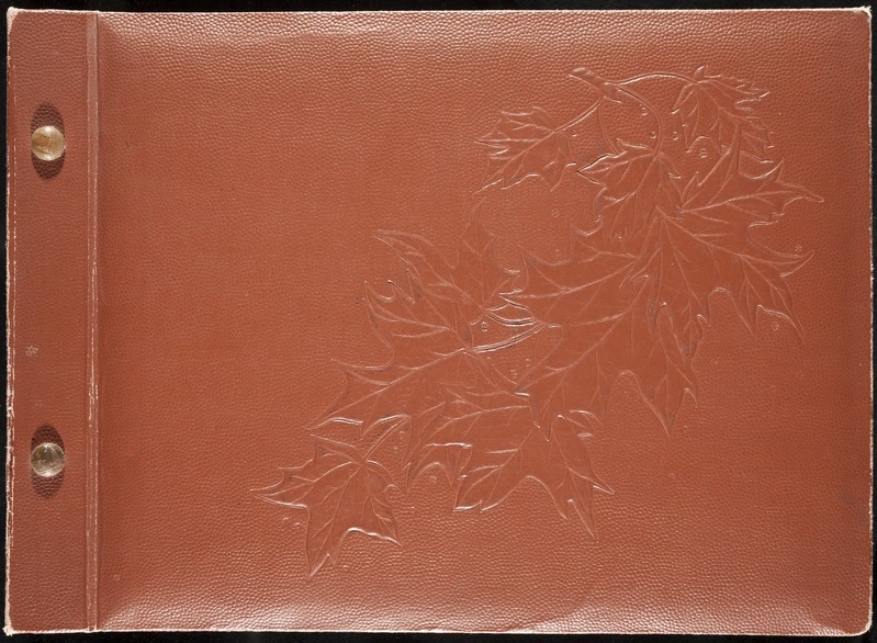 Album 10. Friedebert Tuglasest ja tema elukohtadest