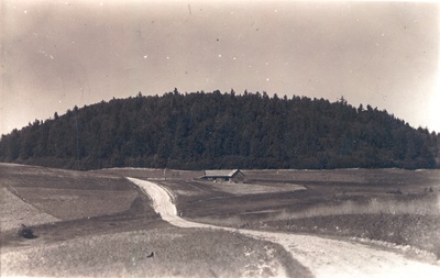 Photo postcard. Haanja. View of the Great Munamäe on the south.  similar photo