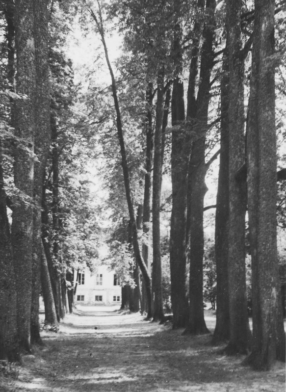 Ahja mõisa park, juuli 1938