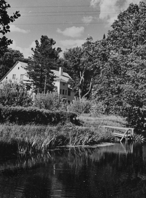 Suvine vaade järvele